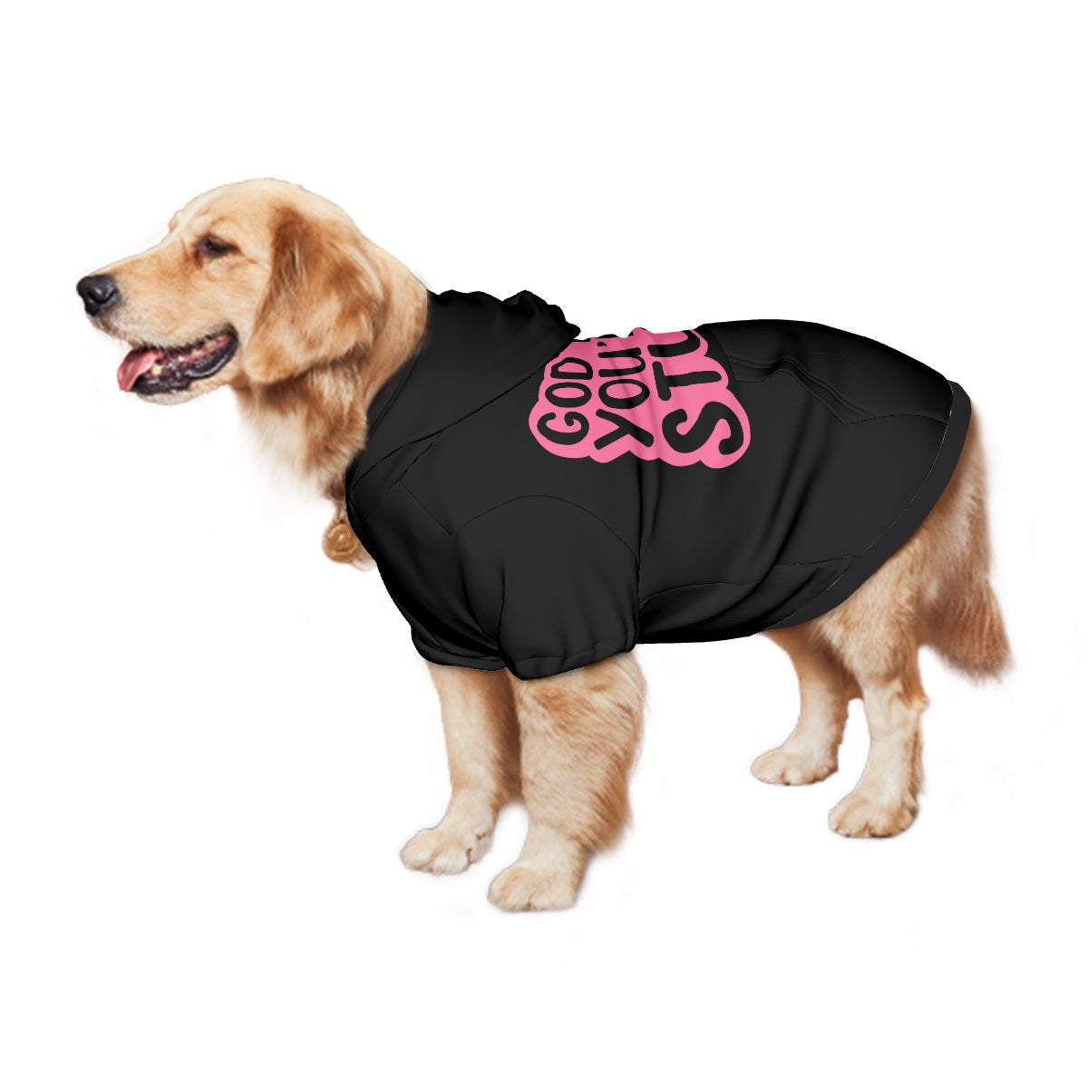 God Karen you're so stupid- Large Pet Hoodie