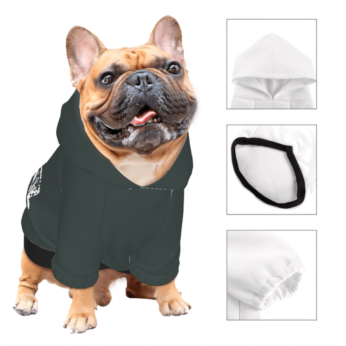 Small Dog Hoodie time spent with dogs is never wasted (Heather Green)