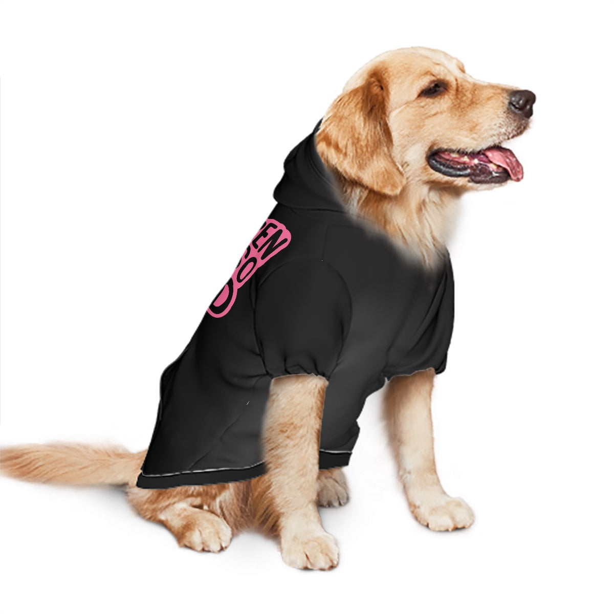 God Karen you're so stupid- Large Pet Hoodie