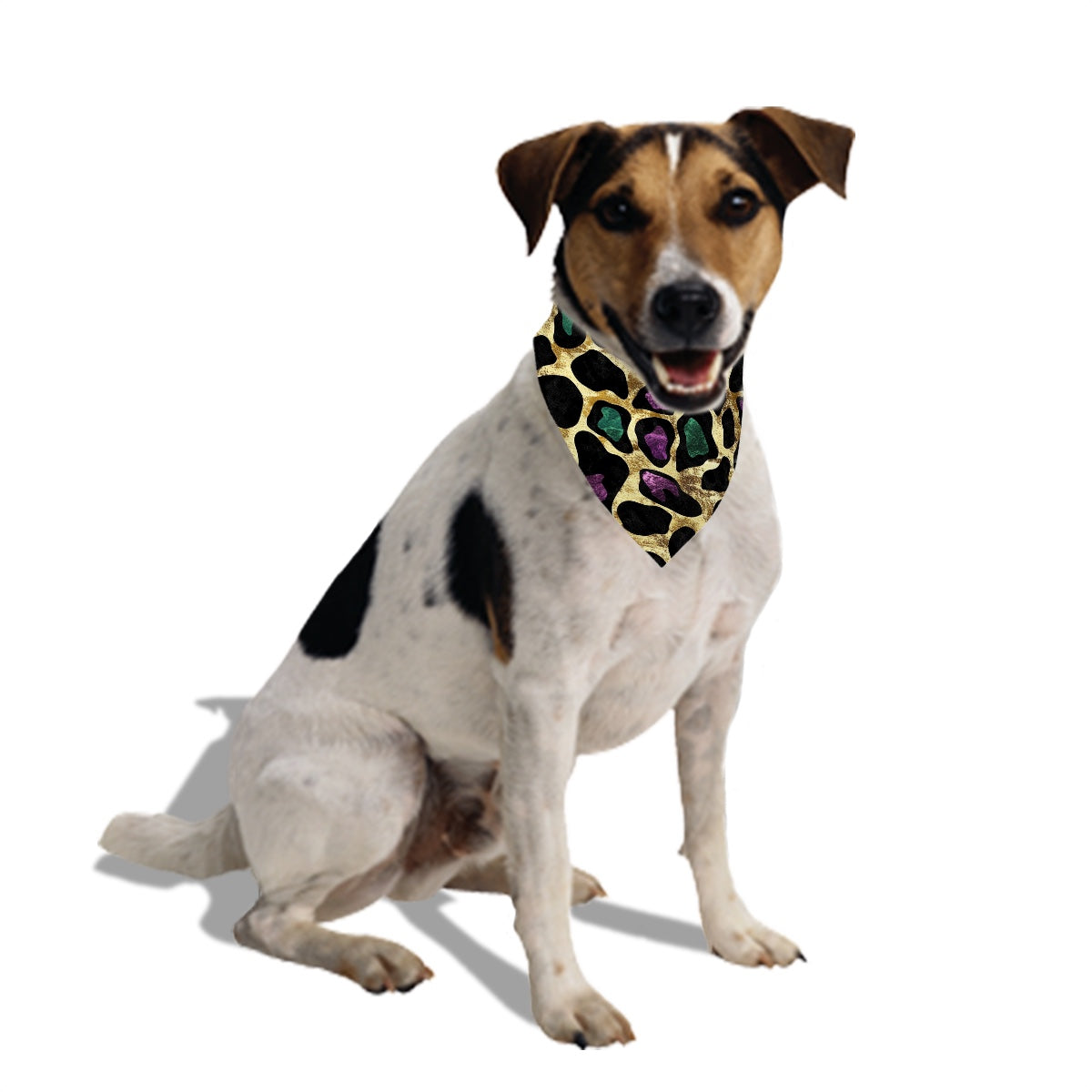 Reversible Pet Bandana with collar