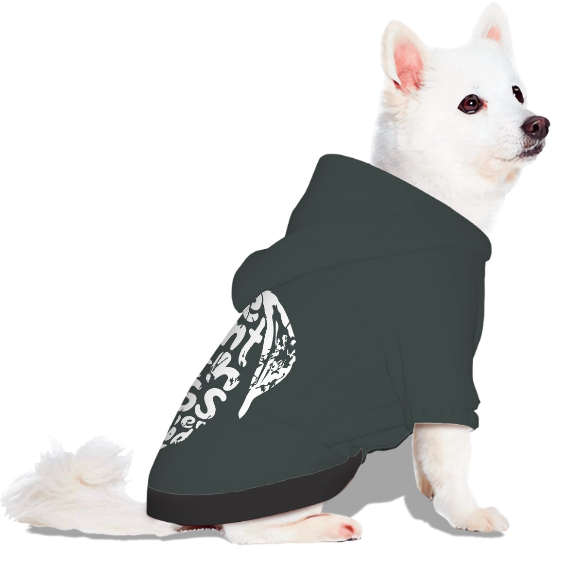 Small Dog Hoodie  time spent with dogs is never wasted (Heather Green)