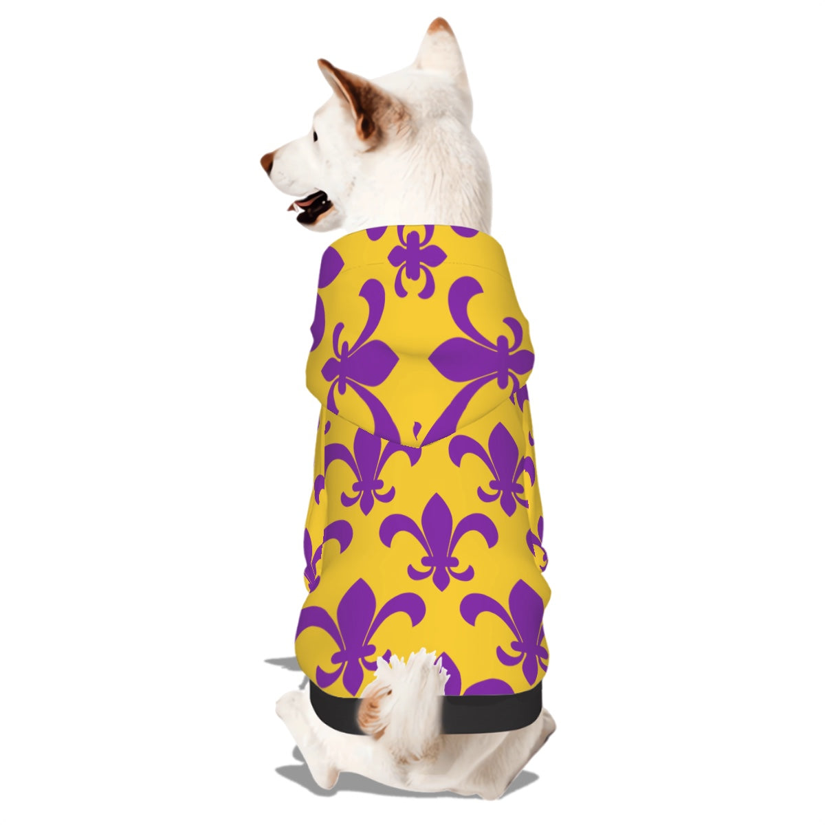 Small Pet Hoodie