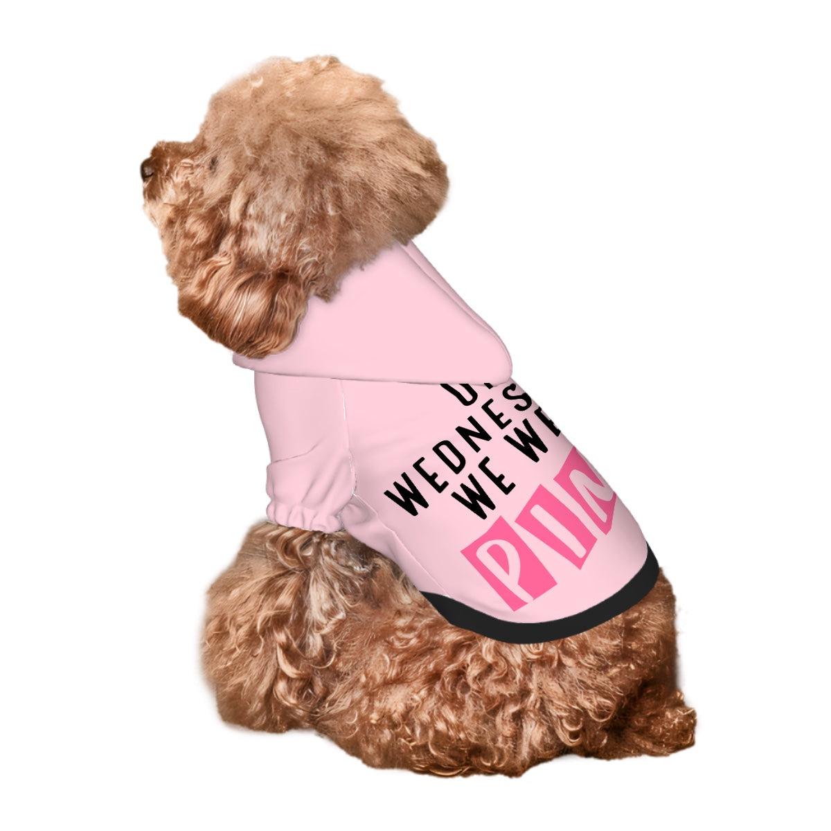 On Wednesday's we wear PINK Small Pet Hoodie